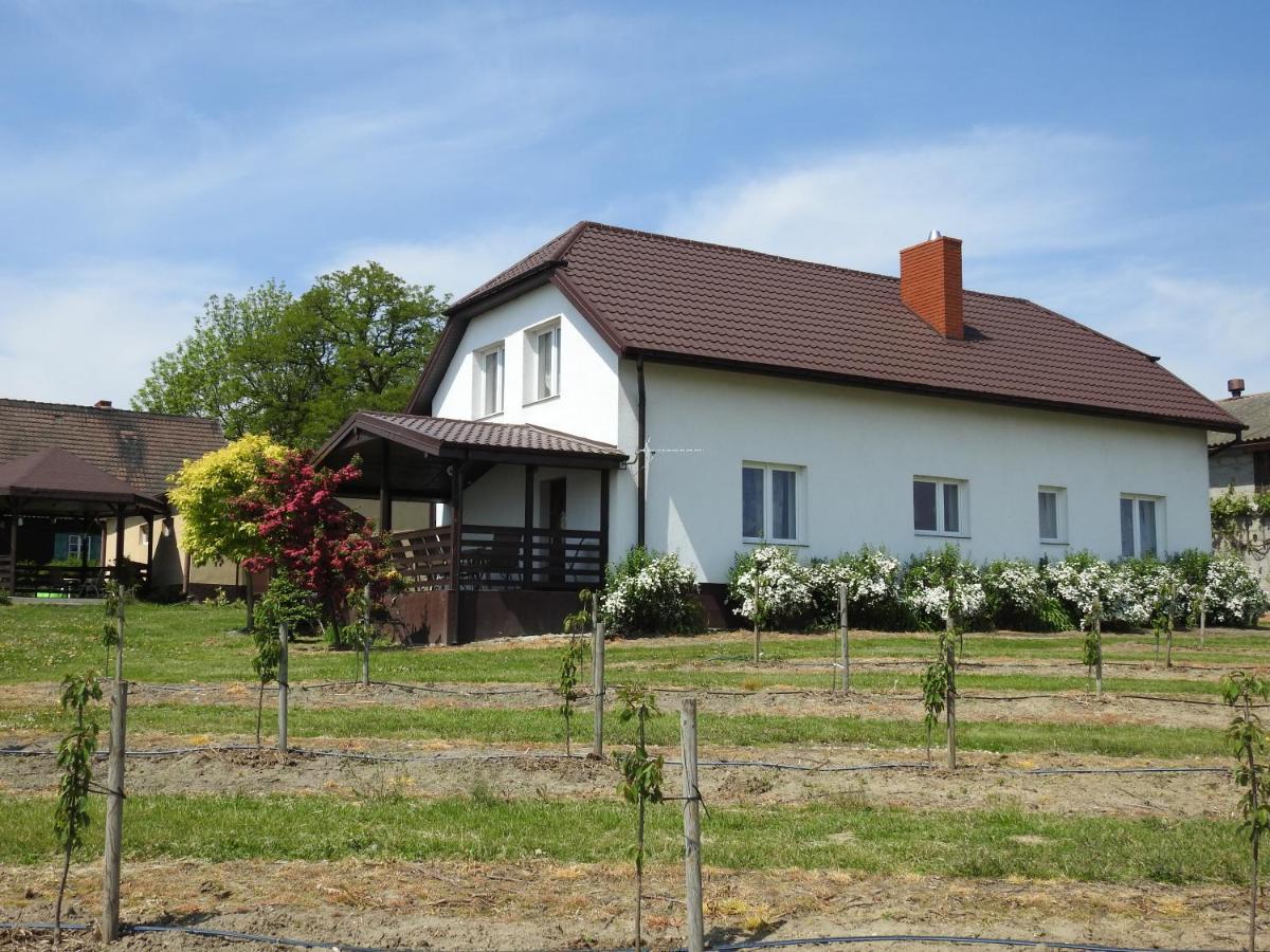 Owocowy Raj Nad Zalewem Villa Modla Krolewska ภายนอก รูปภาพ